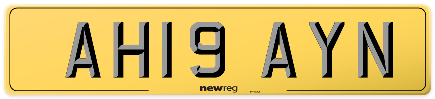 AH19 AYN Rear Number Plate