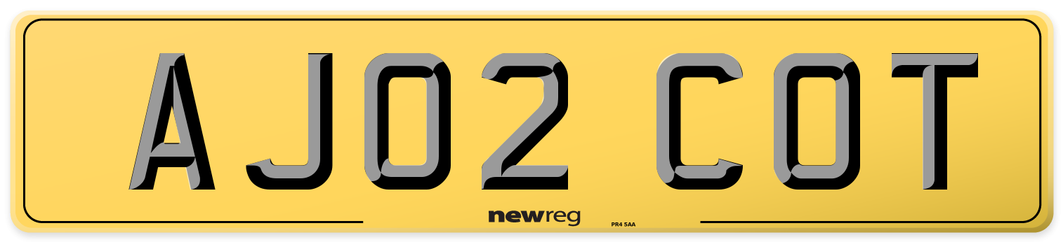 AJ02 COT Rear Number Plate