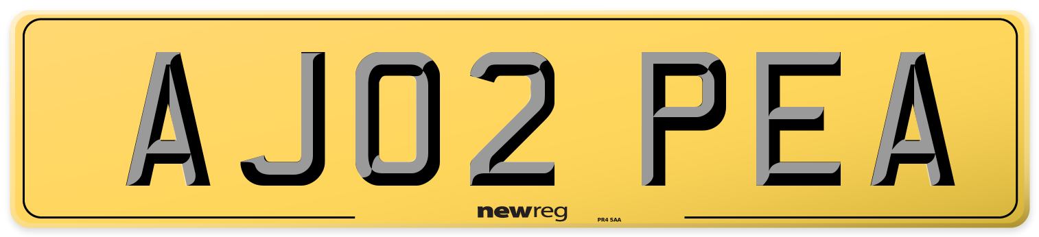 AJ02 PEA Rear Number Plate