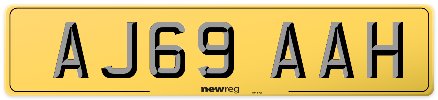AJ69 AAH Rear Number Plate