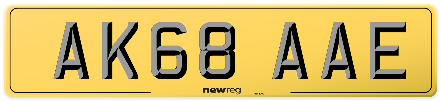AK68 AAE Rear Number Plate