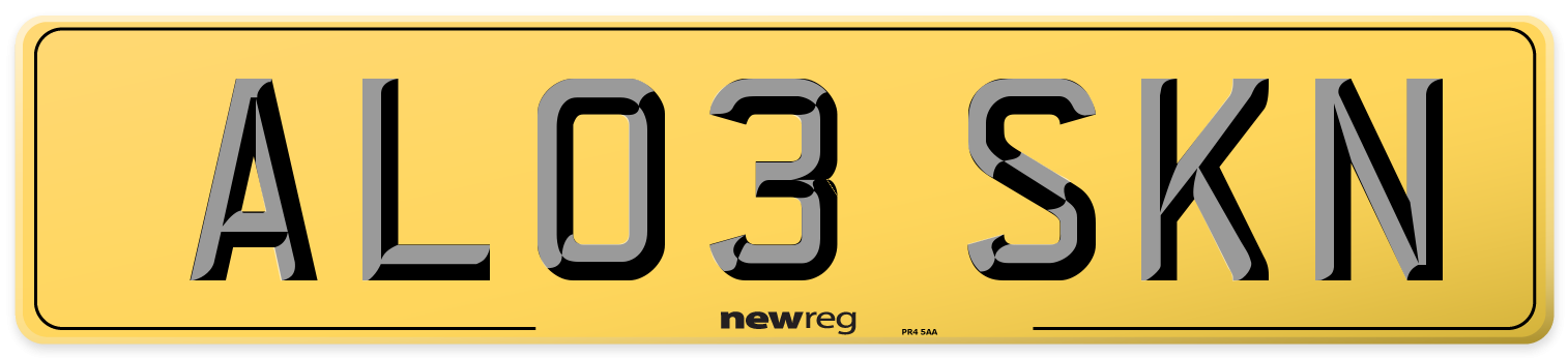 AL03 SKN Rear Number Plate