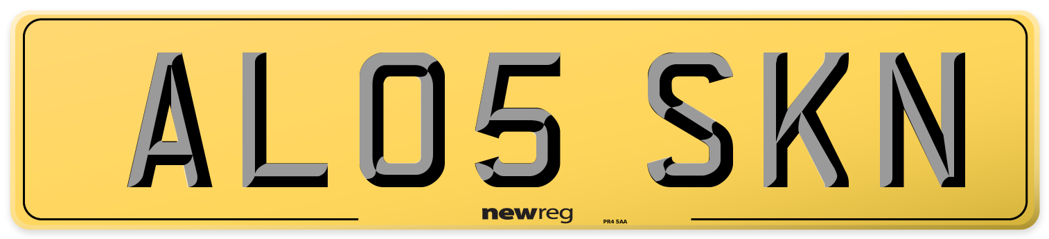 AL05 SKN Rear Number Plate