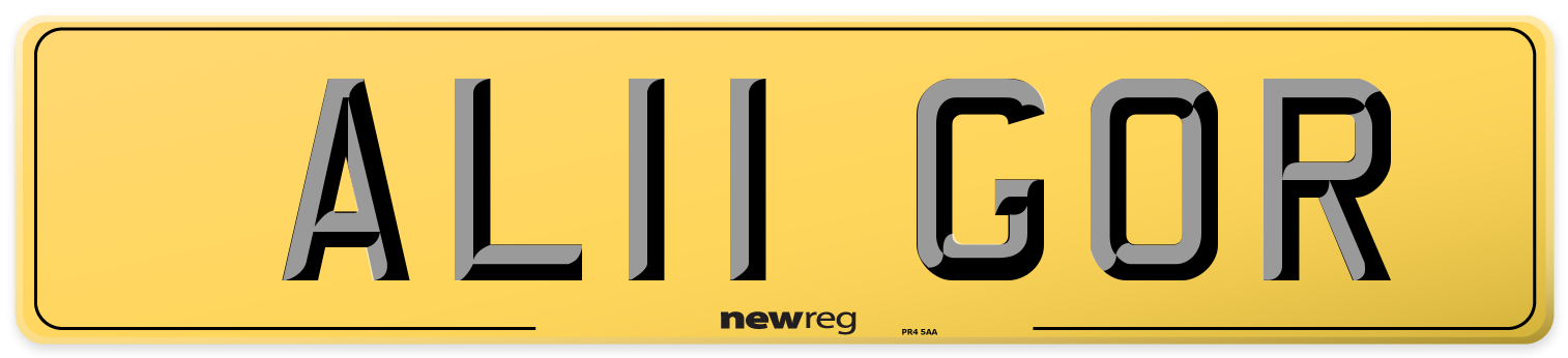 AL11 GOR Rear Number Plate