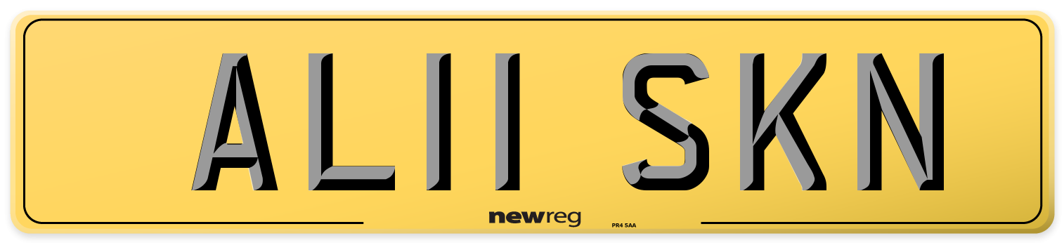 AL11 SKN Rear Number Plate