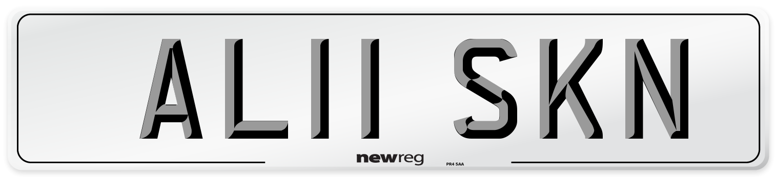 AL11 SKN Front Number Plate