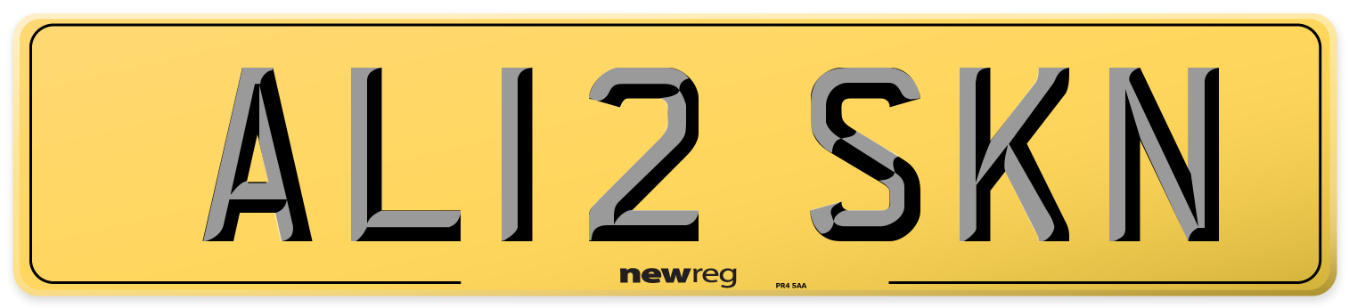 AL12 SKN Rear Number Plate