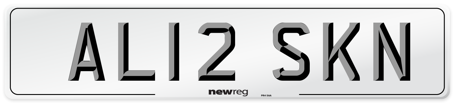 AL12 SKN Front Number Plate