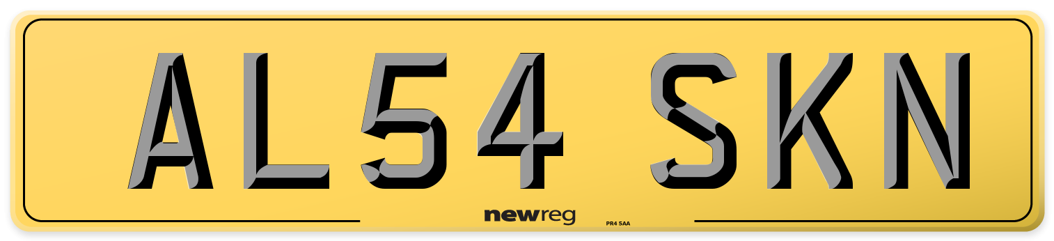 AL54 SKN Rear Number Plate
