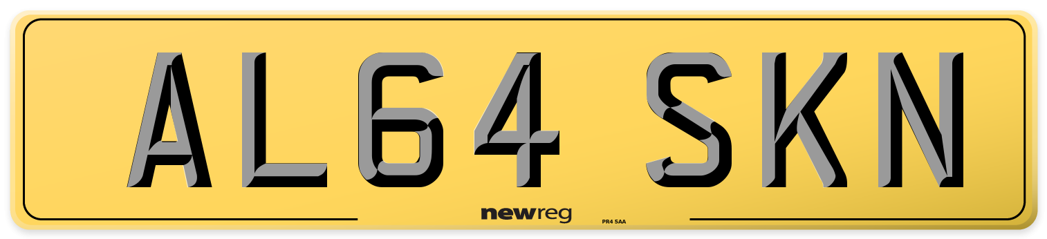 AL64 SKN Rear Number Plate