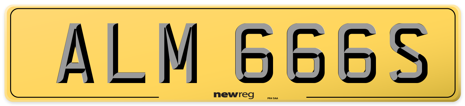 ALM 666S Rear Number Plate