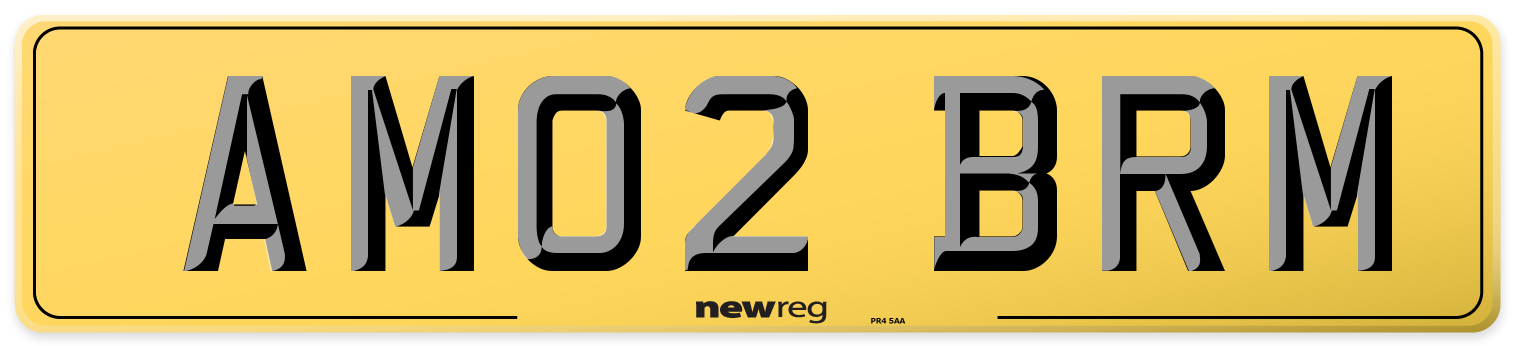AM02 BRM Rear Number Plate