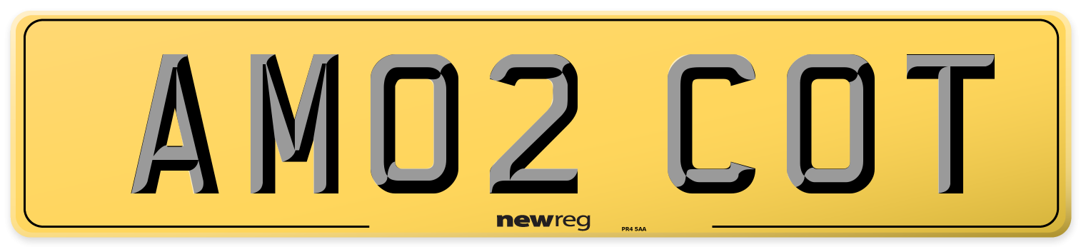 AM02 COT Rear Number Plate