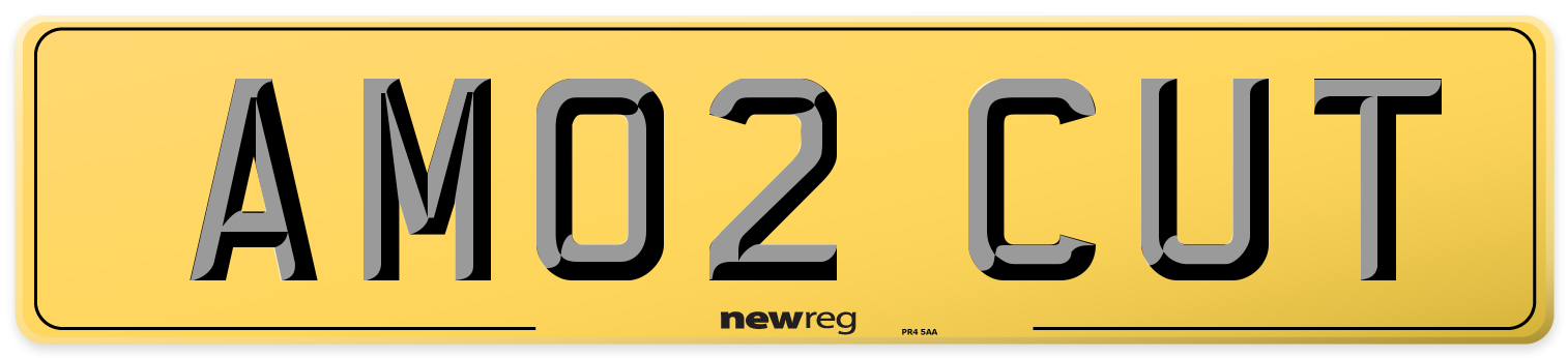 AM02 CUT Rear Number Plate