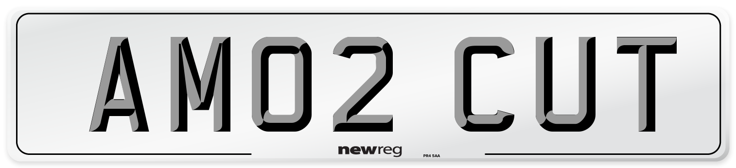 AM02 CUT Front Number Plate
