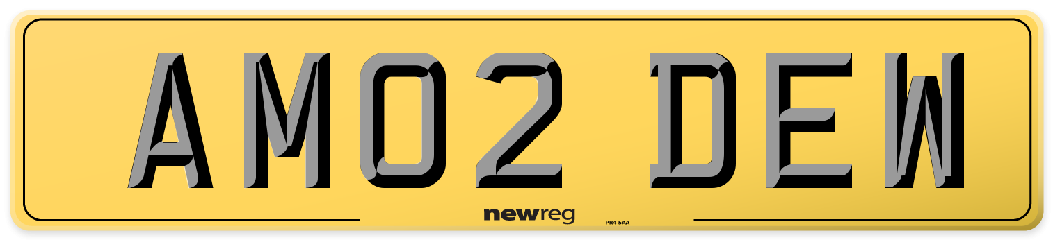 AM02 DEW Rear Number Plate