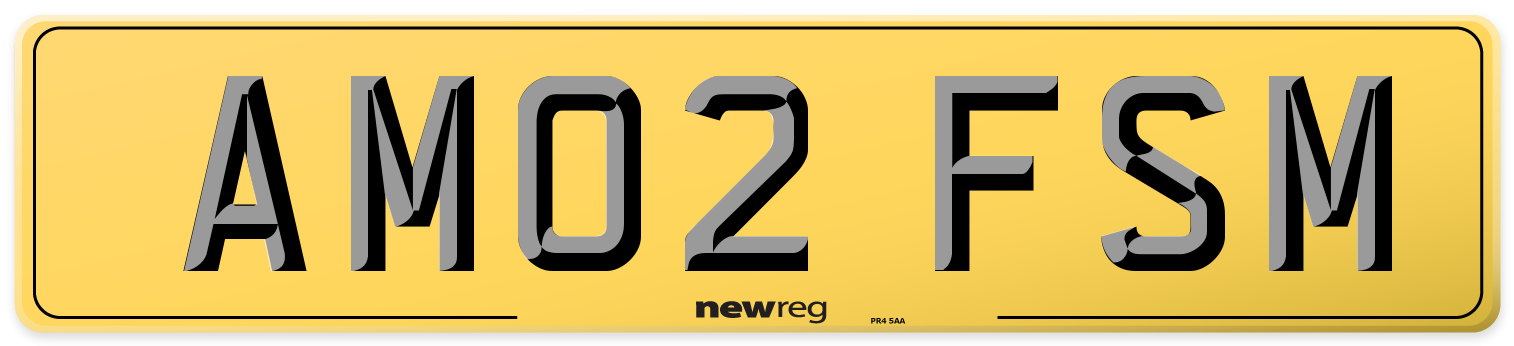 AM02 FSM Rear Number Plate