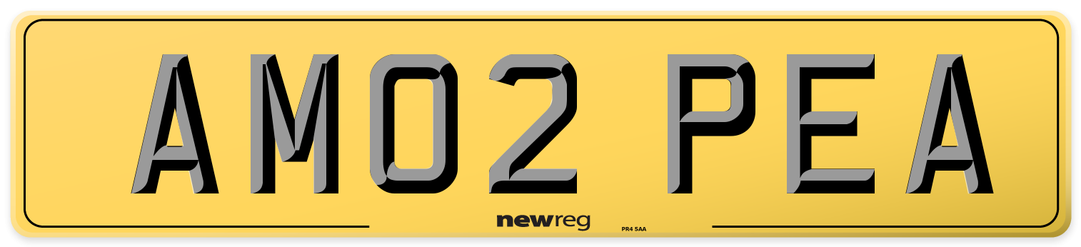 AM02 PEA Rear Number Plate