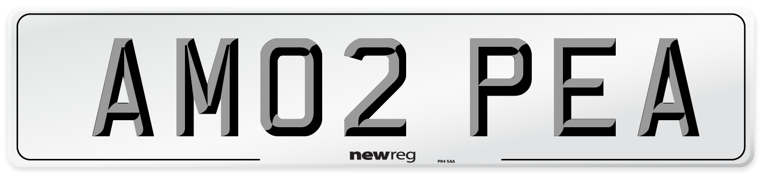 AM02 PEA Front Number Plate