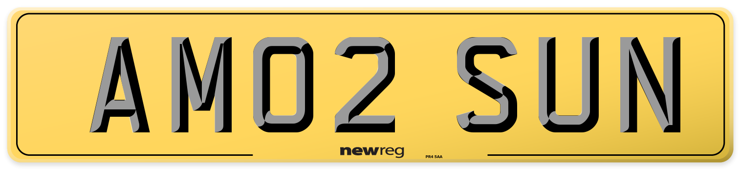 AM02 SUN Rear Number Plate