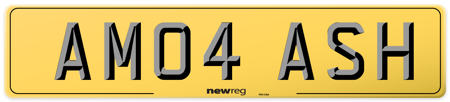 AM04 ASH Rear Number Plate