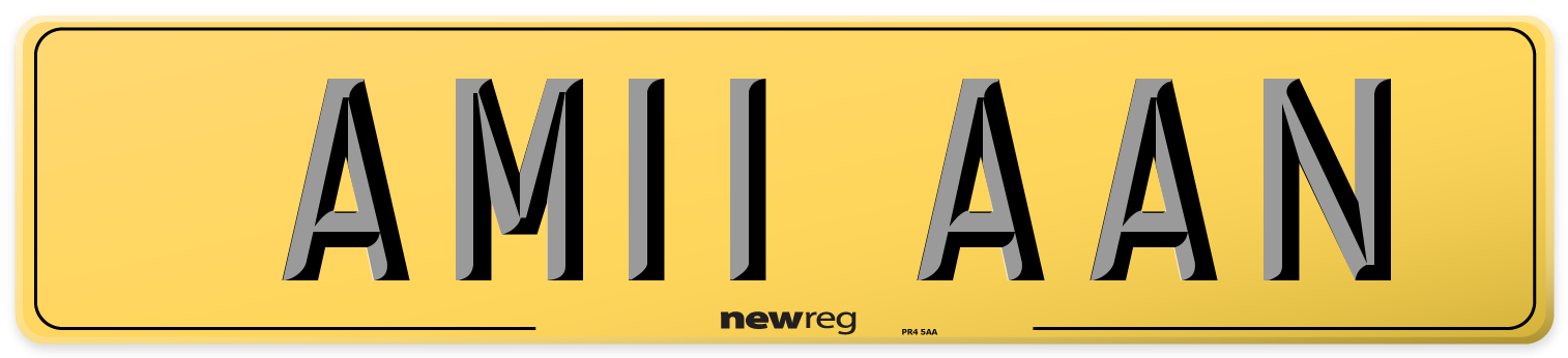 AM11 AAN Rear Number Plate