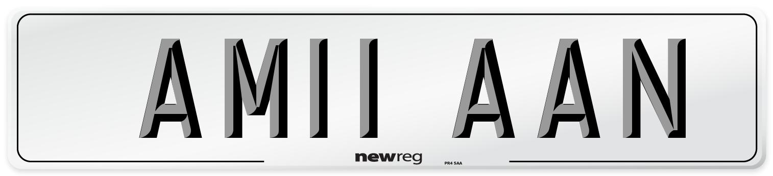 AM11 AAN Front Number Plate