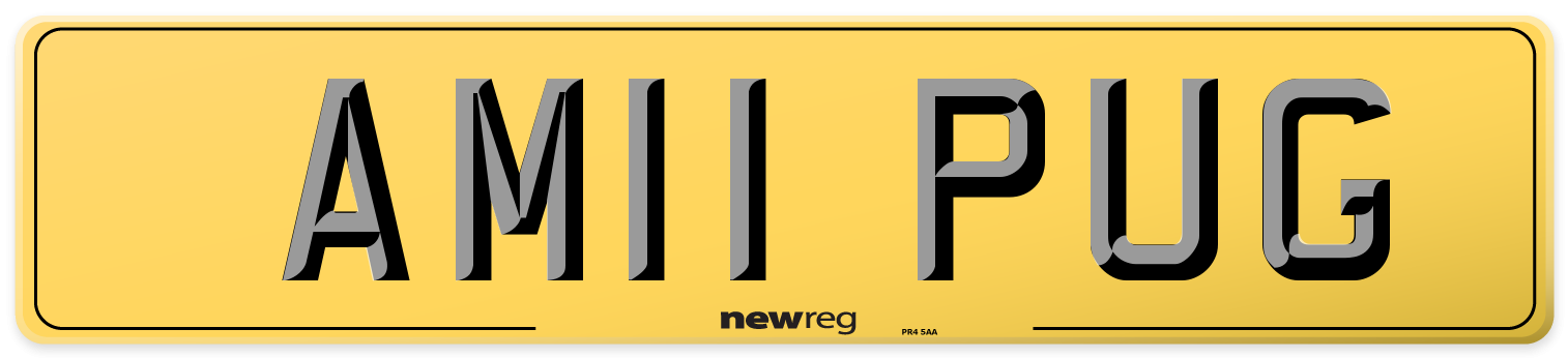 AM11 PUG Rear Number Plate