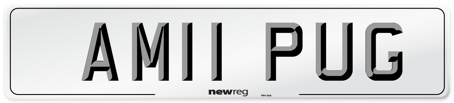 AM11 PUG Front Number Plate