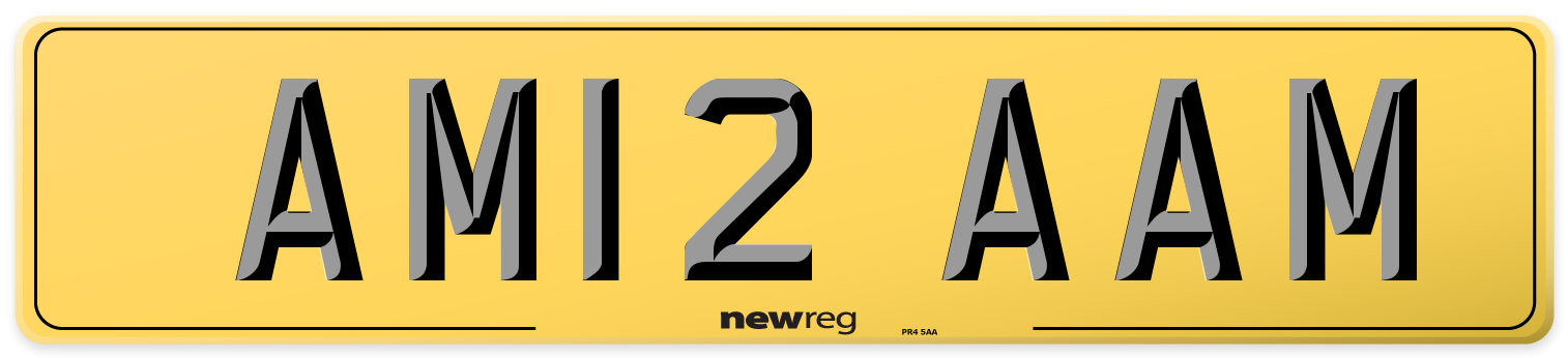 AM12 AAM Rear Number Plate