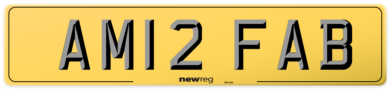AM12 FAB Rear Number Plate