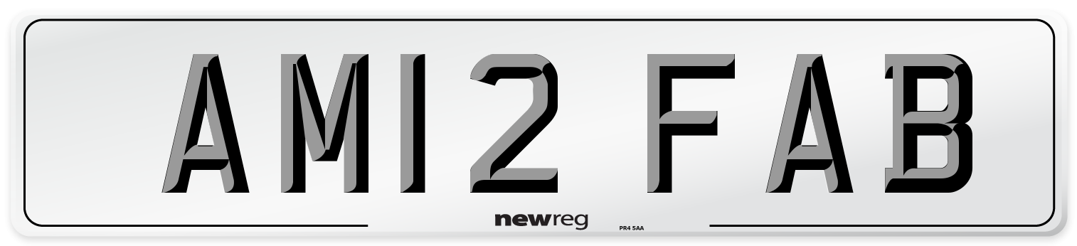 AM12 FAB Front Number Plate