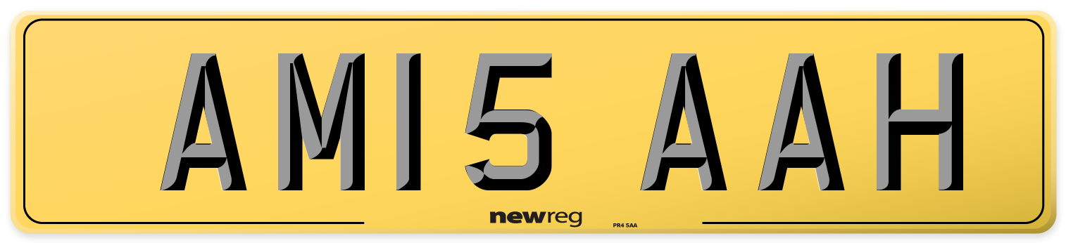 AM15 AAH Rear Number Plate