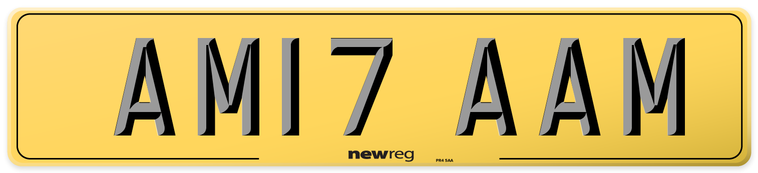 AM17 AAM Rear Number Plate