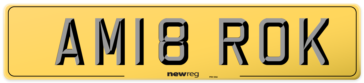 AM18 ROK Rear Number Plate