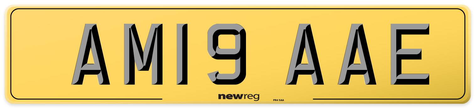 AM19 AAE Rear Number Plate
