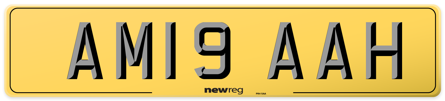 AM19 AAH Rear Number Plate