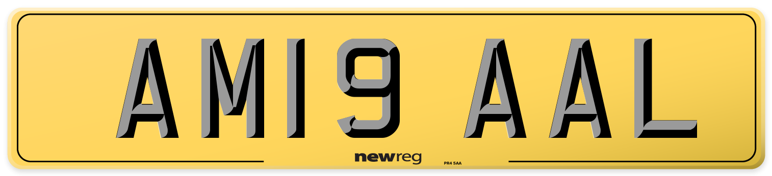 AM19 AAL Rear Number Plate