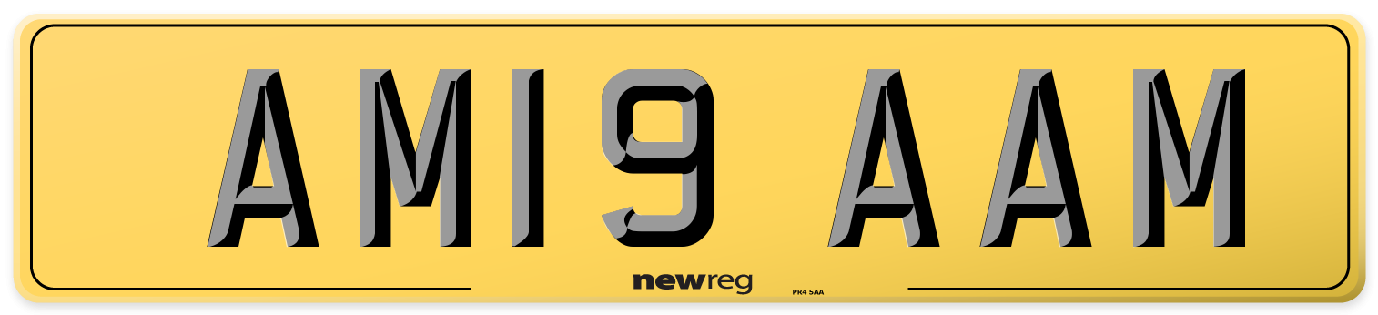AM19 AAM Rear Number Plate