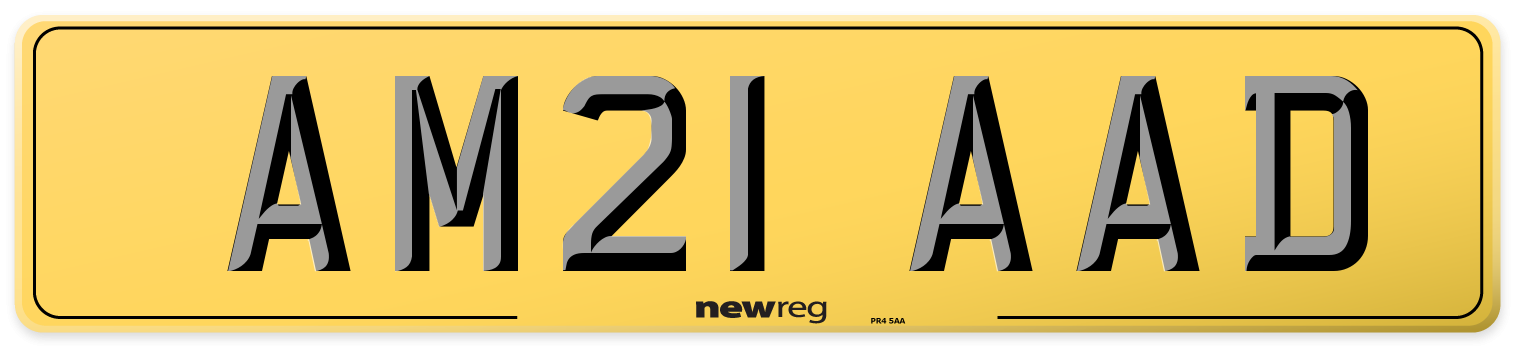 AM21 AAD Rear Number Plate