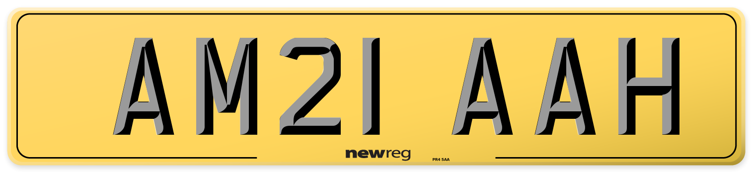 AM21 AAH Rear Number Plate