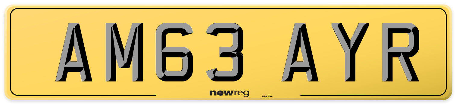 AM63 AYR Rear Number Plate