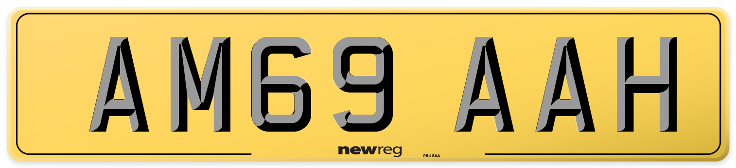 AM69 AAH Rear Number Plate