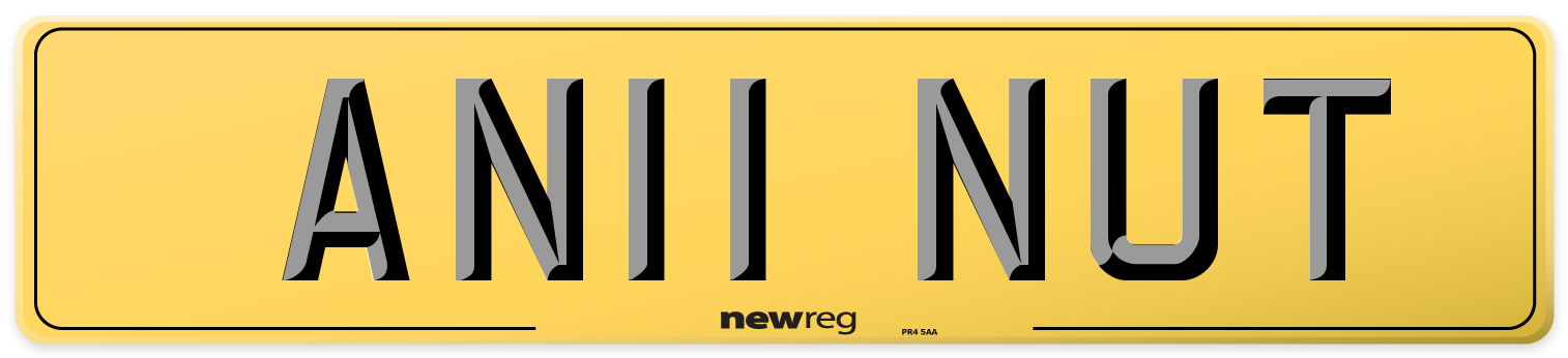 AN11 NUT Rear Number Plate