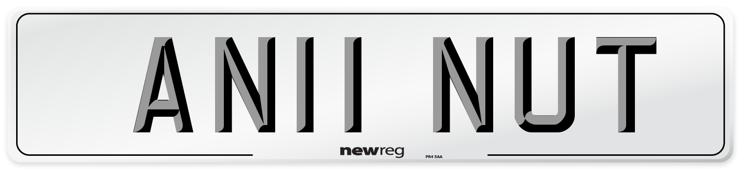AN11 NUT Front Number Plate