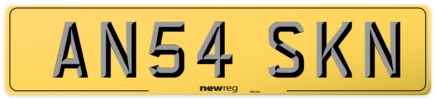 AN54 SKN Rear Number Plate