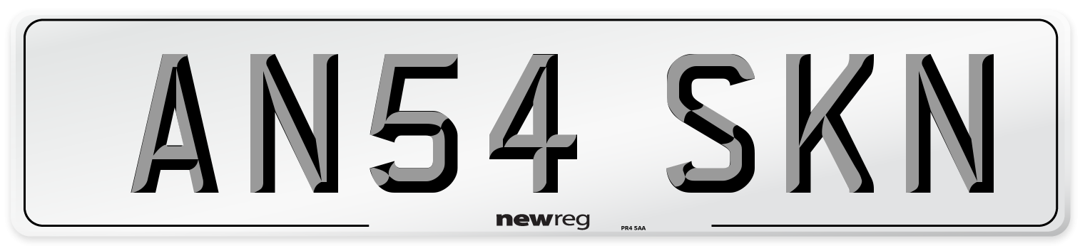 AN54 SKN Front Number Plate