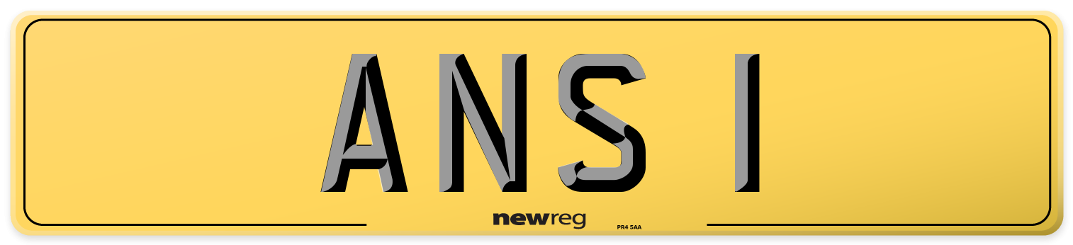 ANS 1 Rear Number Plate