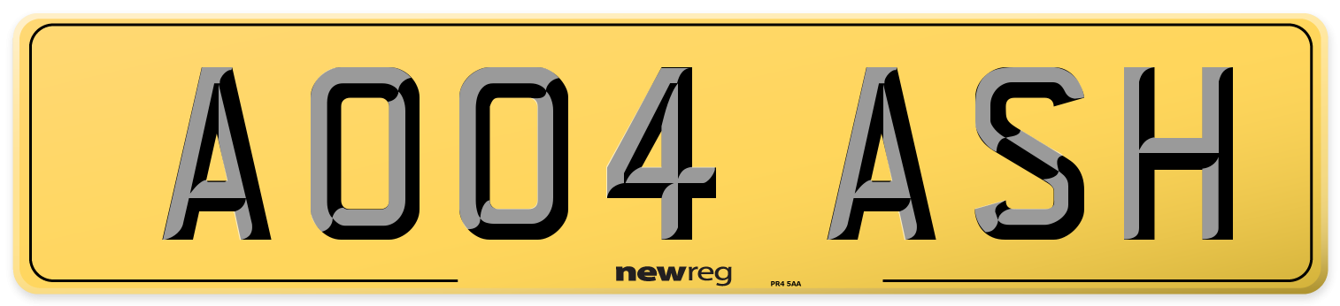AO04 ASH Rear Number Plate