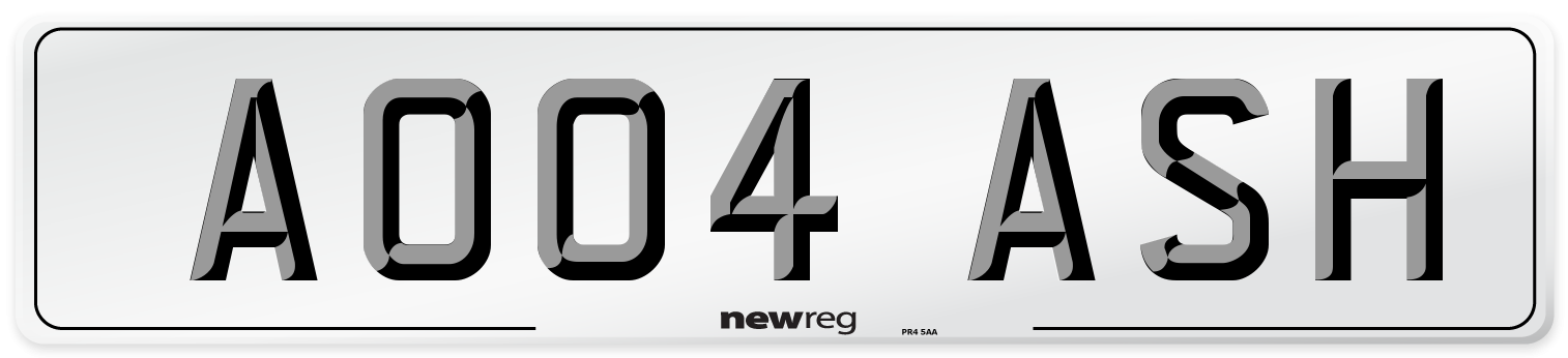 AO04 ASH Front Number Plate